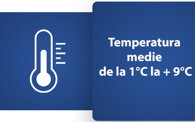 Temperatura medie Cold Machine